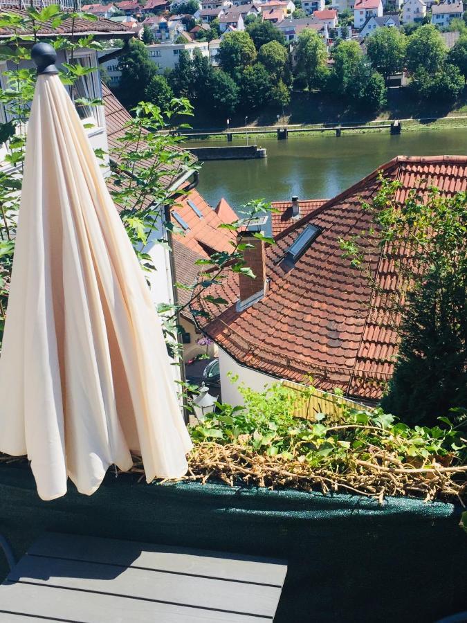 Natur Und Neckarblick Bei Heidelberg Hirschhorn Exterior photo