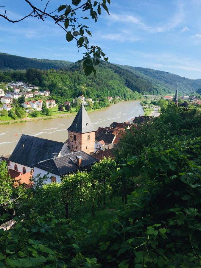 Natur Und Neckarblick Bei Heidelberg Hirschhorn Exterior photo