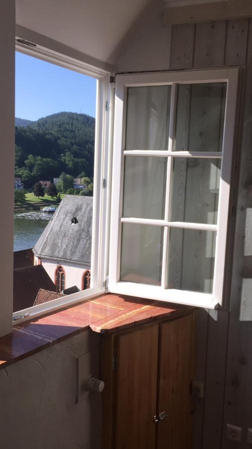 Natur Und Neckarblick Bei Heidelberg Hirschhorn Exterior photo