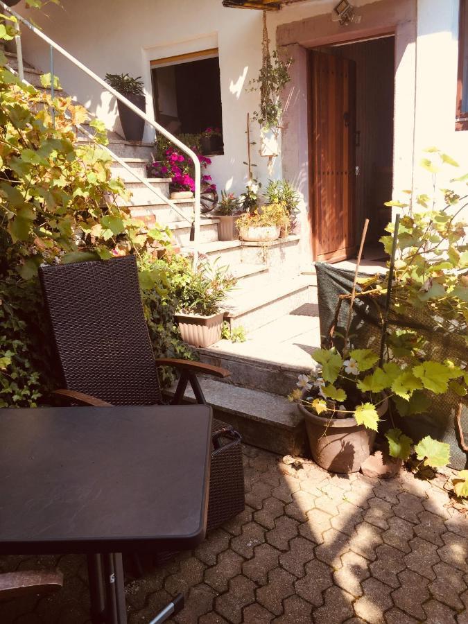 Natur Und Neckarblick Bei Heidelberg Hirschhorn Exterior photo