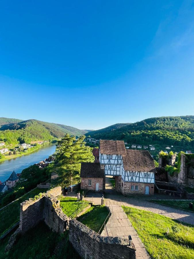 Natur Und Neckarblick Bei Heidelberg Hirschhorn Exterior photo